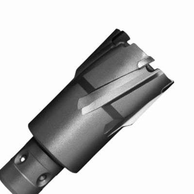 Dobra cena. Głębokość cięcia 35 mm Tungsten Carbide Tipped Ringlar Cutter z 18 mm Fein Quick-In Shank w sieci